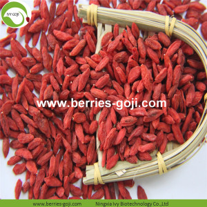 Factory Supply Fruits Premium Vitamins Goji Berry