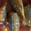 Caballa Enlatada Pescado En Salsa De Tomate Chile Picante