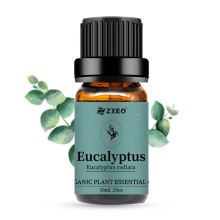 100% safi ya kikaboni eucalyptus mafuta eucalyptus mafuta muhimu kwa vipodozi vya sabuni ya mshumaa skincare