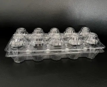 10 Pack Plastic Egg Carton