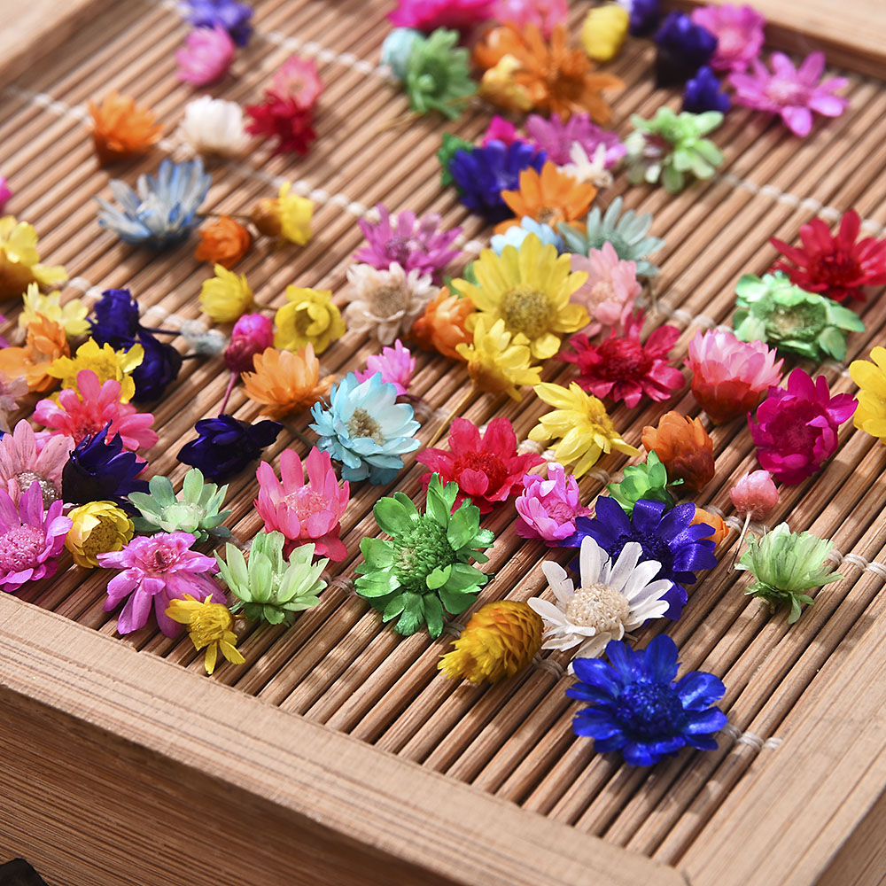 200PCS Dried Flower Head Daizy Glass Cover Nail Art Filling Epoxy Hand Craft DIY