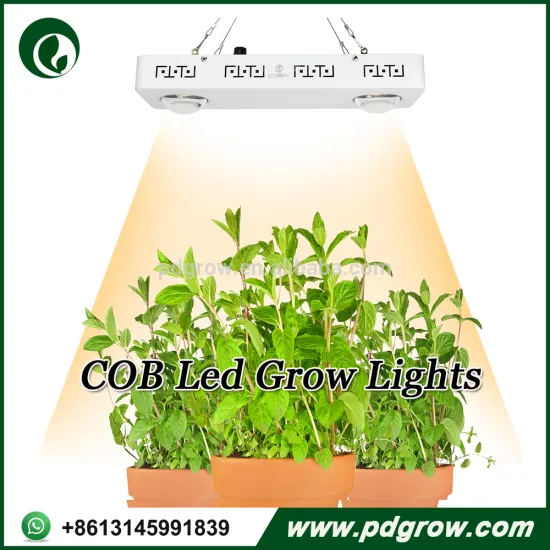 Good Quality Indoor Crees CXB3590 COB 200W LED Grow Lights Item160