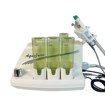 Portable Multifunctional Facial Skin Machine - Small Bubble Facial Machine for Beauty Salons