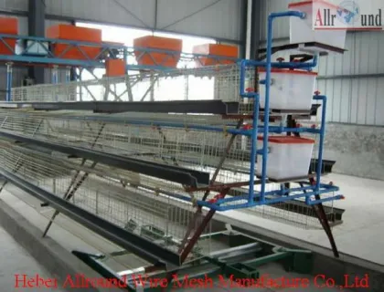 Chicken raising equipment automatic for Broiler  