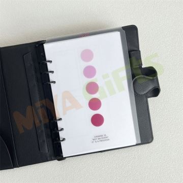 Custom Big Top Tab Divider Insert for Planner Agenda Binder - Plastic Frosted Today