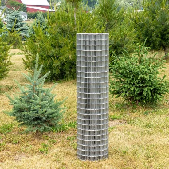 Welded Wire Mesh Rolls