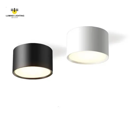 5W Lumind 4 Inch Black and White Surface Mounted LED Downlight Ceiling Lamp