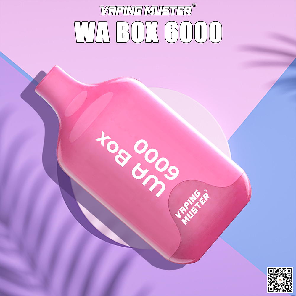 WA Box Vape 6000 Puff