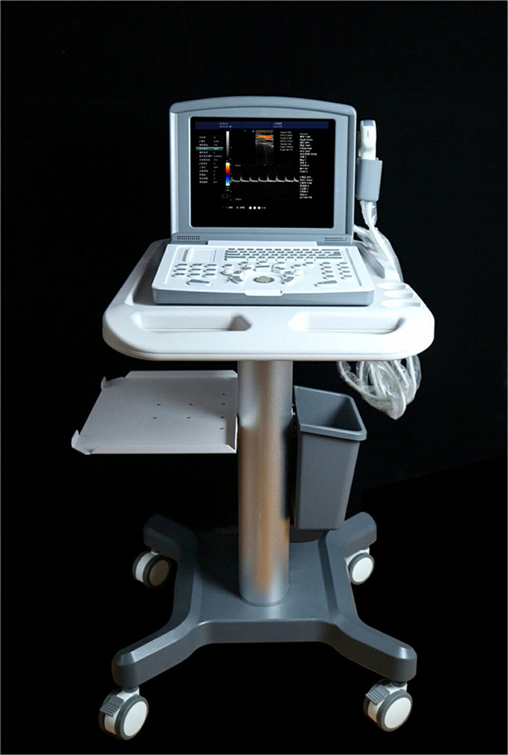 Machine à ultrasons Doppler de couleur portable pour la gynécologie