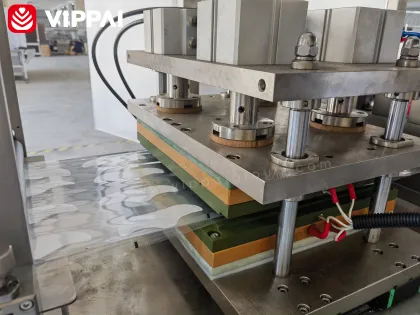 VIPPAI 2024 Hot Medical Cosmetics Eye Care Patch Packing Machine