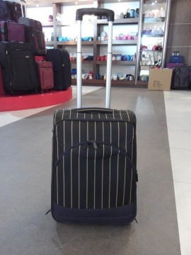 two wheels shopping bag trolley