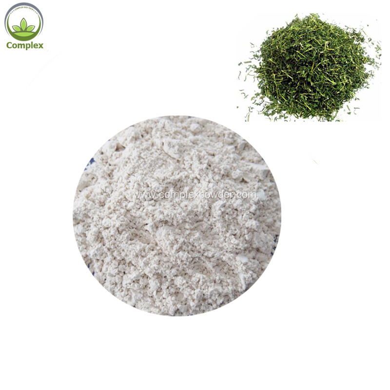 Wholsale Best PriceBulk Dihydromyricetin Powder