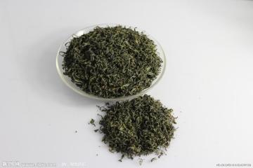 EGCG Extract in Green Tea 10~99% HPLC
