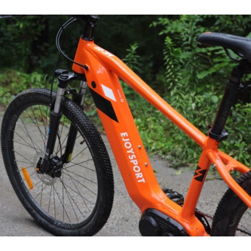 Mountain Electric Dirt Bike With Pedals