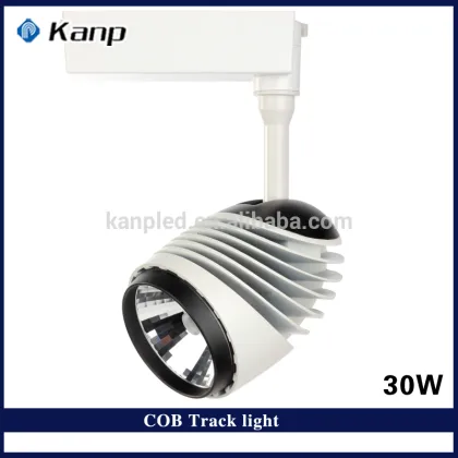 30W 6000K Art Gallery COB Led Track Lighting