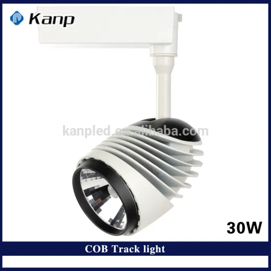 30W 6000K Art Gallery COB Led Track Lighting