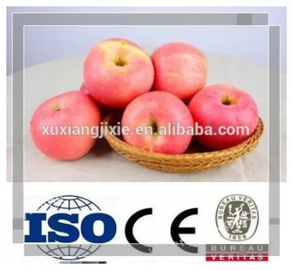 Complete Apple Production Line