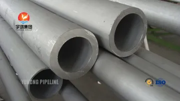 Hastelloy C22 Seamless Pipes ASTM B622 UNS N06022