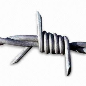Hot DIP Electro Galvanzied Barbed Wire for Protecting