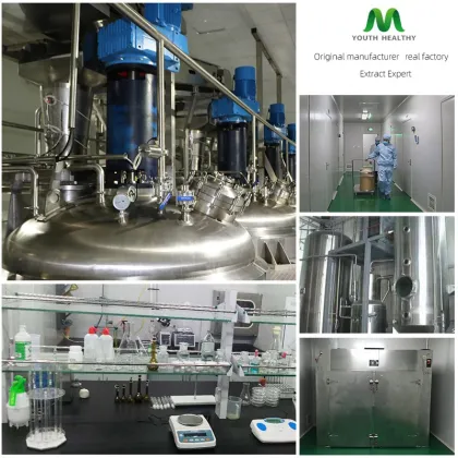 High-purity Alpha Arbutin Powder