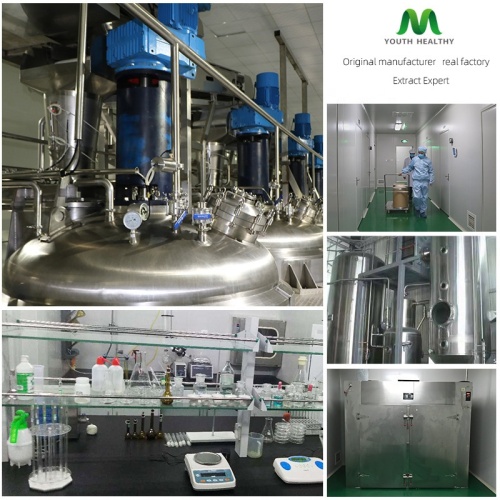 Чистоћа алфа арбутин прах