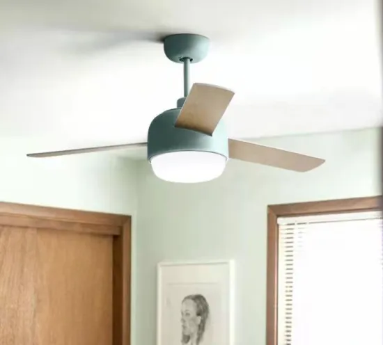 Decorative household fan lamp