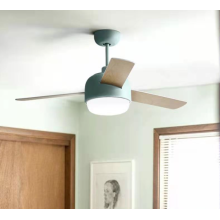Decorative household fan lamp