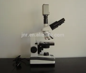 black fight live blood microscope
