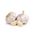 5% allicin garlic extract