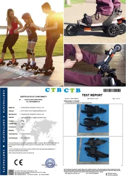 EMJ SKATE 2015 Newest Model Quad Roller Skates for Sale Y1