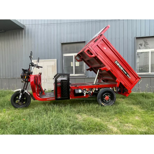 1.6 Triciclo eléctrico autocomplante
