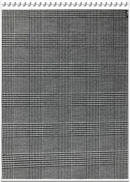 Hot Check Yarn Dyed Begaline Fabric
