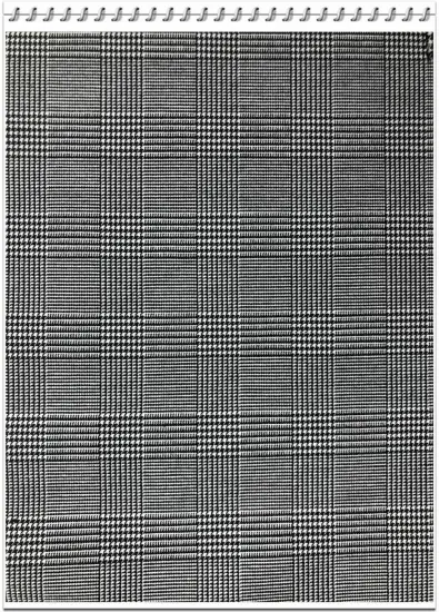 Hot Check Yarn Dyed Begaline Fabric