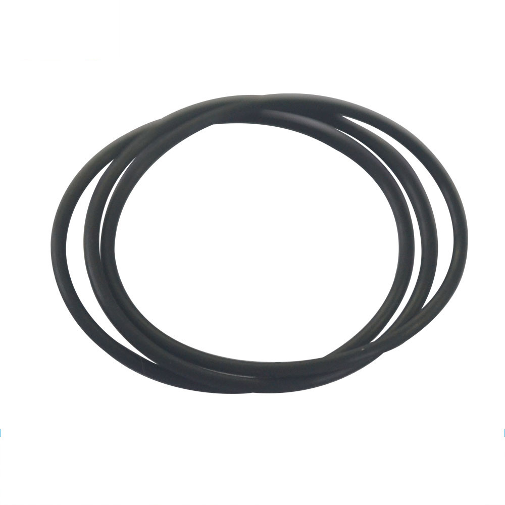 S5000049-O-ring3