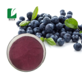 Blueberry Extract 25% Anthocyanins For Supplement