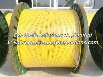 16AWG Conductor, 316L SS Tubing Encapsulated Cable(TEC Cable)