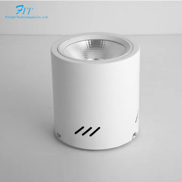 Factory Direct Sale High-Quality Ceiling Round Die-Casting Aluminum 40W COB LED Surface Mounted Downlight
