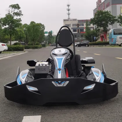 2022 Hottest 3000W Go Kart Motor with R1 Design