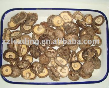 DRIED SHIITAKE MUSHROOM