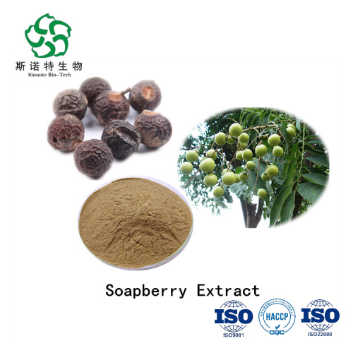 Soapnut Extract Powder Bulk Supply Herbal Sapindoside Powder Soapnut Extract Supplier