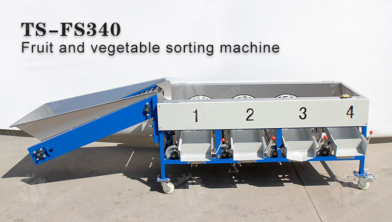 commercial apple sorter machine