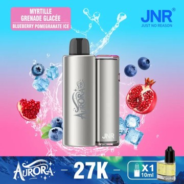 Asal Jnr Aurora 27k Puffs Vape USA