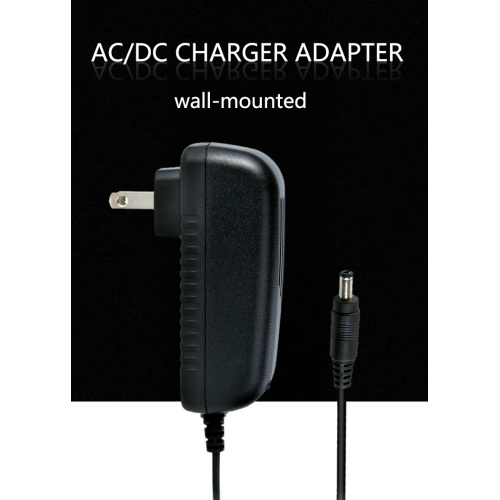 IEC 61558 24V 1.5A PSE Power Adapter