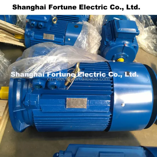 IE2 Electric Motor YE2 Series: High Efficiency Three-Phase Brushless AC Motor