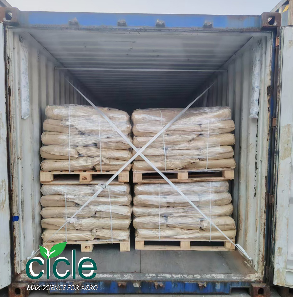Amino Acid powder45