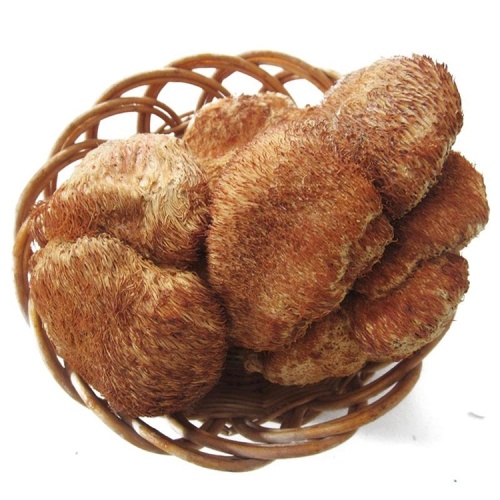 Animal Husbandry Materials Provide Food Grade Lions Mane Mushroom Extract Powder Supplier