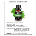 Coriander Essential Oil Private Label Custom Improve Memory