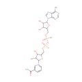 Nicotinamida adenina dinucleotídeo (NAD) em pó (53-84-9)