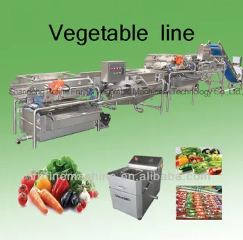 stainless steel vegetable washing machine/equipment/plant/frozen fruit and vegetable processling line