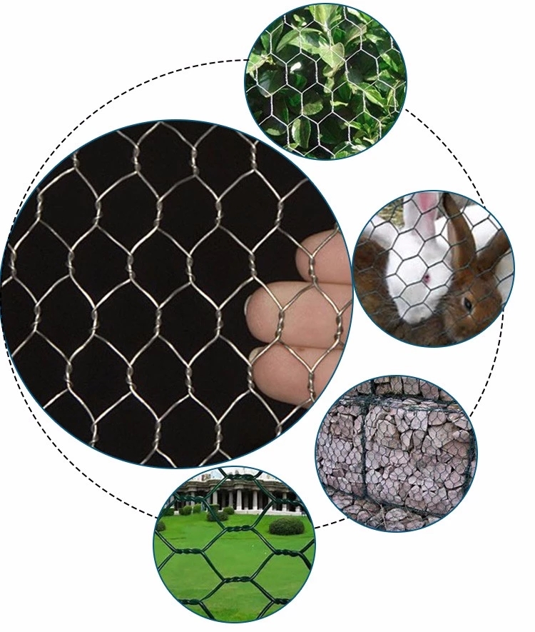 hexagonal wire netting
